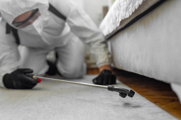 Professional Cockroach Control technician working in Sharon Center, OH