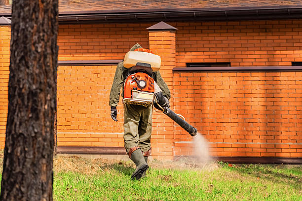 Trusted Cockroach Control service in Sharon Center, OH - Nex Pest Control